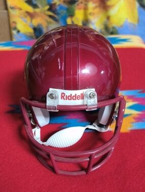 Riddell Minnesota Golden Gophers Mini Revolution Helmet 3 5/8 Used No Box